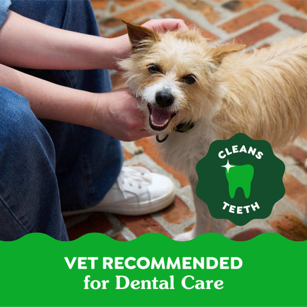 GREENIES™ Original Natural Dental Dog Treats