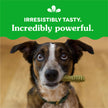 GREENIES™ Original Natural Dental Dog Treats
