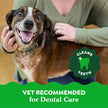 GREENIES™ Original Natural Dental Dog Treats