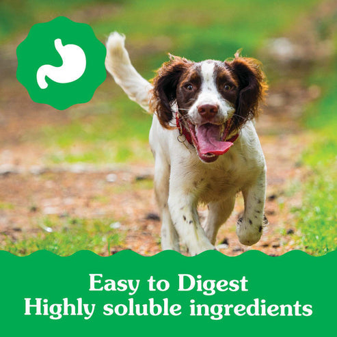GREENIES™ Puppy Regular Size Natural Dental Dog Treats