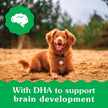 GREENIES™ Puppy Regular Size Natural Dental Dog Treats