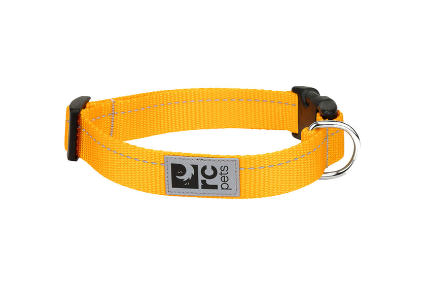 RC Pets Primary Clip Collar yellow