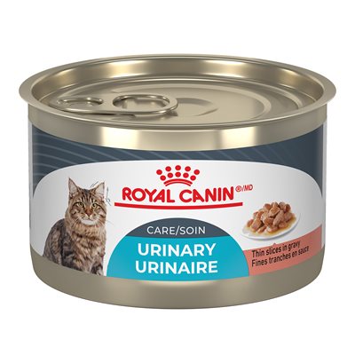 Royal Canin FCN Urinary Care Thin Slices in Gravy (145g/5.1oz)