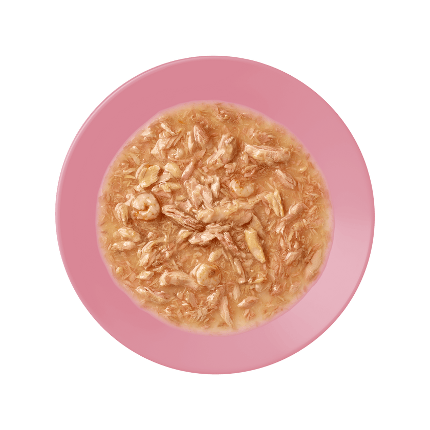 tuna & shrimp  Cat Pot Wet Food served in a bowl, ready for mealtime.