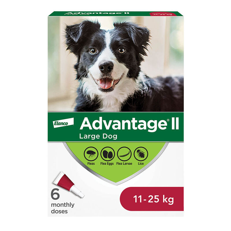 Advantage II - Dog Flea Treatment 11 - 25 kg
