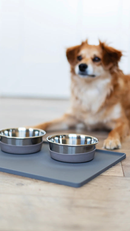 Messy Mutts Heavy Gauge Bowl XL, Grey