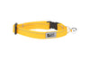 RC Pets Kitty Breakaway Collar Primary yellow