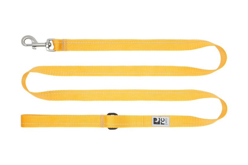 RC Pets Dog Leash Primary yellow