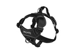 Momentum Harness