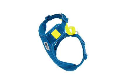 RC Pets Moto Control Harness blue