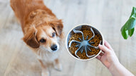 Messy Mutts - Universal Slow Feeder Bowl Insert with Suction, 7.5