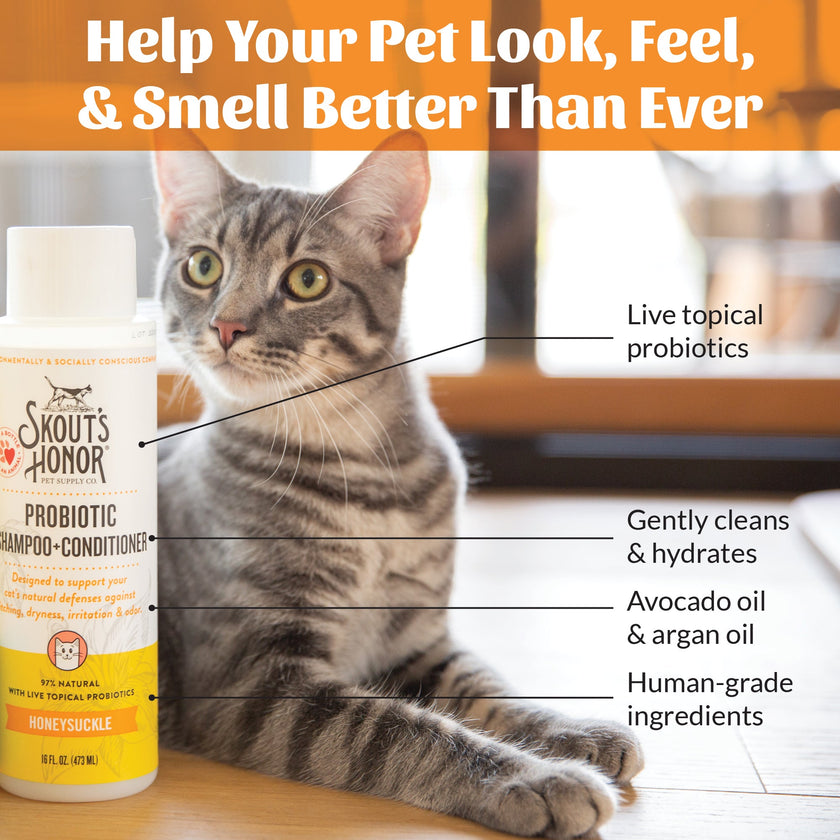 Skout's Honor - Cat Probiotic Shampoo + Conditioner - Honeysuckle (16oz)