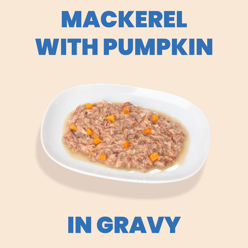 Almo Nature HQS Complete Cat Food - Mackerel Recipe With Pumpkin In Gravy -70g