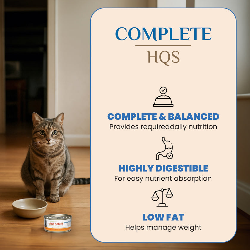 Almo Nature HQS Complete Cat Food - Mackerel Recipe With Pumpkin In Gravy -70g