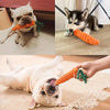 Carrot Chomp Rope Toy