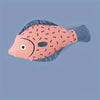 Rattle Fish Cat Toy