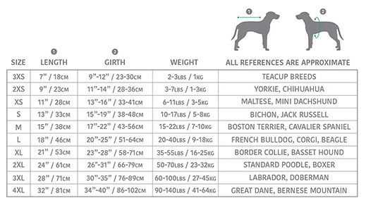 size guide of  premium base layer