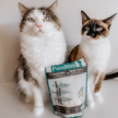 PureBites Freeze Dried Cat Treats - Minnow 66g