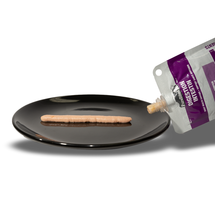 PureBites+ Functional - Digestion Squeezable for Dogs (2.5oz/71g)