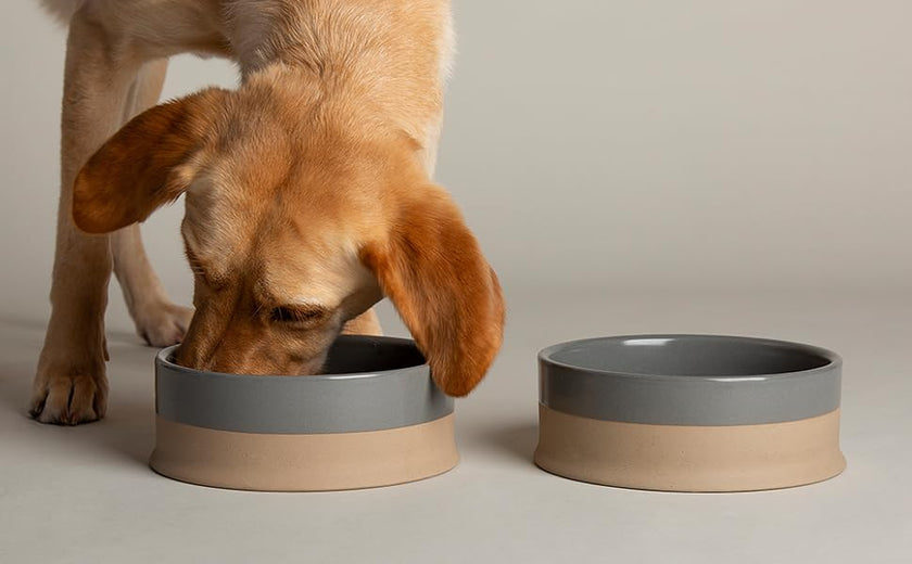 Scandi Non-Tip Pet Bowl - Cream - 1.3L (20cm/8in)