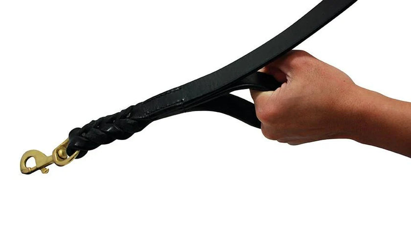 Angel Pet Supplies - Leather Double Handle Braided Leash - 6ft, Black