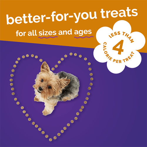 Flavor Dog Treat 5 oz   Fruitables® Skinny Minis® Rotisserie Chicken Flavor Dog Treat