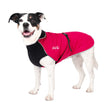 Chilly Dogs - Northern Blazer Dog Coat