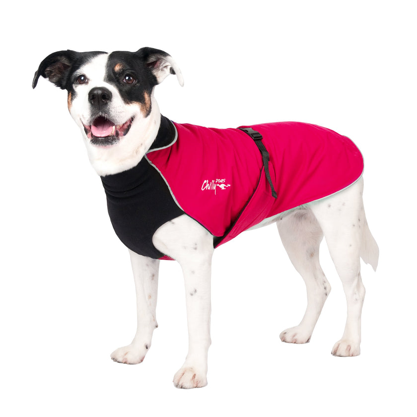 Chilly Dogs - Northern Blazer Dog Coat