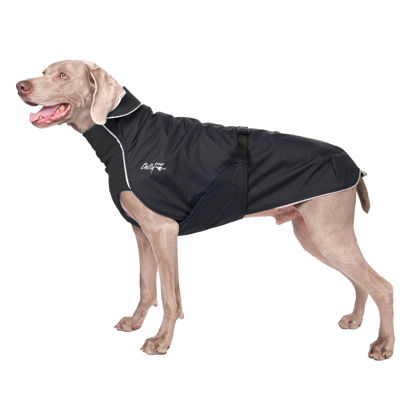 Chilly Dogs - Northern Blazer Dog Coat