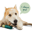 Woof The BullySafe - Durable Bullystick Holder