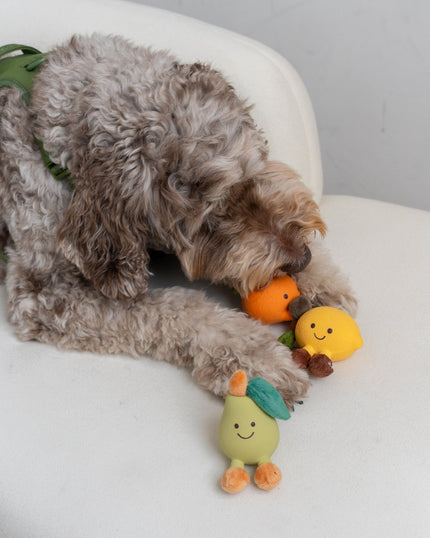 Dexypaws Plush Dog Toy - Pear 4