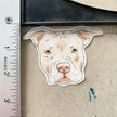 Pit Bull Sticker
