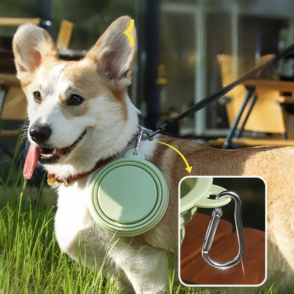 Collapsible Portable Pet Bowl - Pink