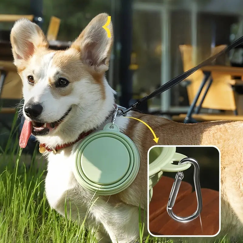 Collapsible Portable Pet Bowl