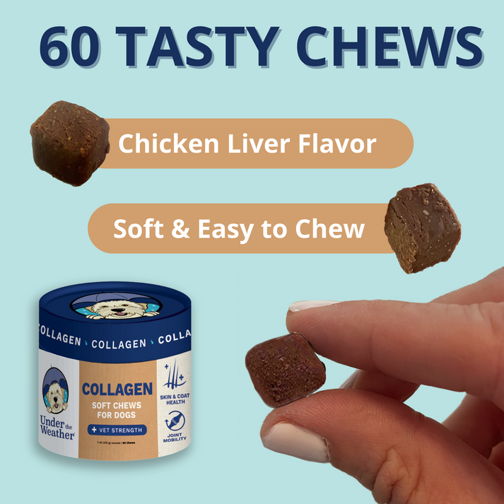 Under the Weather Dog Joint Support Chews - Collagen Soft Chews for Mobility, Skin & Coat