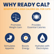 Under the Weather High Calorie Recovery Gel for Cats - Appetite Support with Electrolytes (Ready Cal Plus)