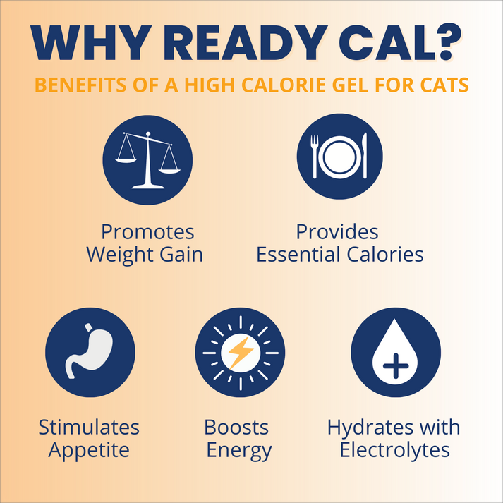 Under the Weather High Calorie Recovery Gel for Cats - Appetite Support with Electrolytes (Ready Cal Plus)