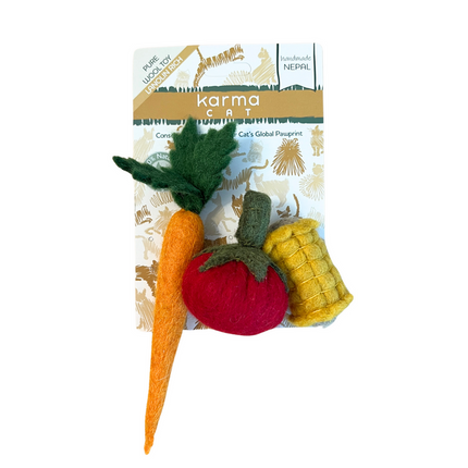 wool felt veggies in package