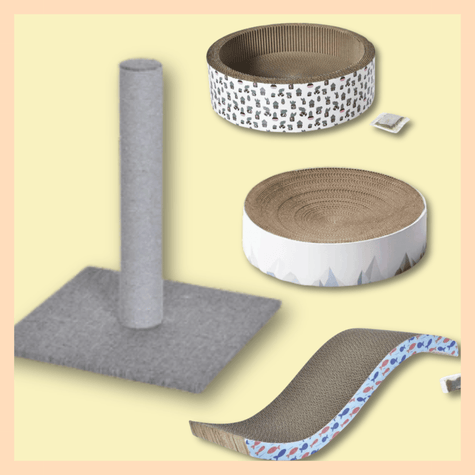 Critter Community Pitch-In for Larger Wishlist Essentials