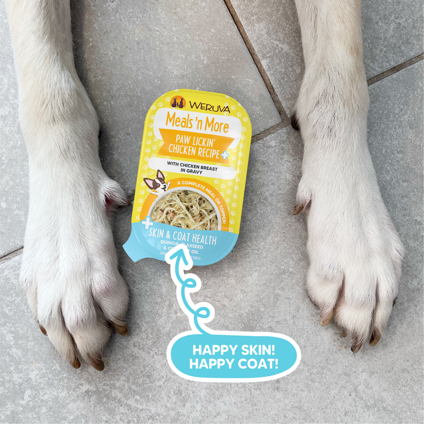 Weruva Meals 'n More Paw Lickin' Chicken Recipe Plus Wet Dog Food Chicken Breast in Gravy 3.5oz (100g)