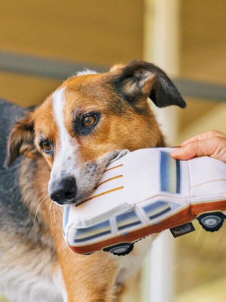 Dog with Station Waggin'