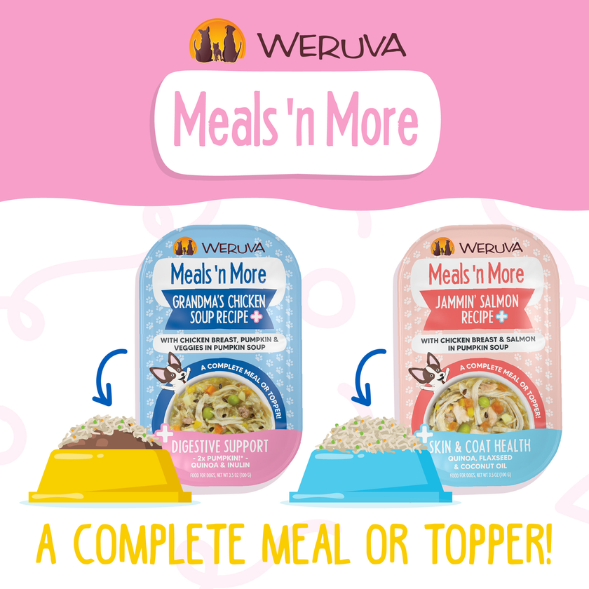 Weruva Meals 'n More Amazon Livin' Recipe Plus Wet Dog Food Chicken Breast, Pumpkin & Chicken Liver in Pumpkin Soup 3.5oz (100g)