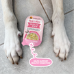Weruva Meals 'n More Amazon Livin' Recipe Plus Wet Dog Food Chicken Breast, Pumpkin & Chicken Liver in Pumpkin Soup 3.5oz (100g)