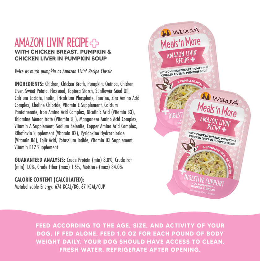 Weruva Meals 'n More Amazon Livin' Recipe Plus Wet Dog Food Chicken Breast, Pumpkin & Chicken Liver in Pumpkin Soup 3.5oz (100g)