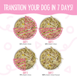 Weruva Meals 'n More Amazon Livin' Recipe Plus Wet Dog Food Chicken Breast, Pumpkin & Chicken Liver in Pumpkin Soup 3.5oz (100g)