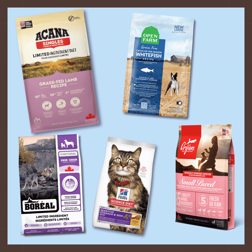 Critter Community Pitch-In for Larger Wishlist Essentials