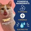 Under the Weather High Calorie Recovery Gel for Cats - Appetite Support with Electrolytes (Ready Cal Plus)