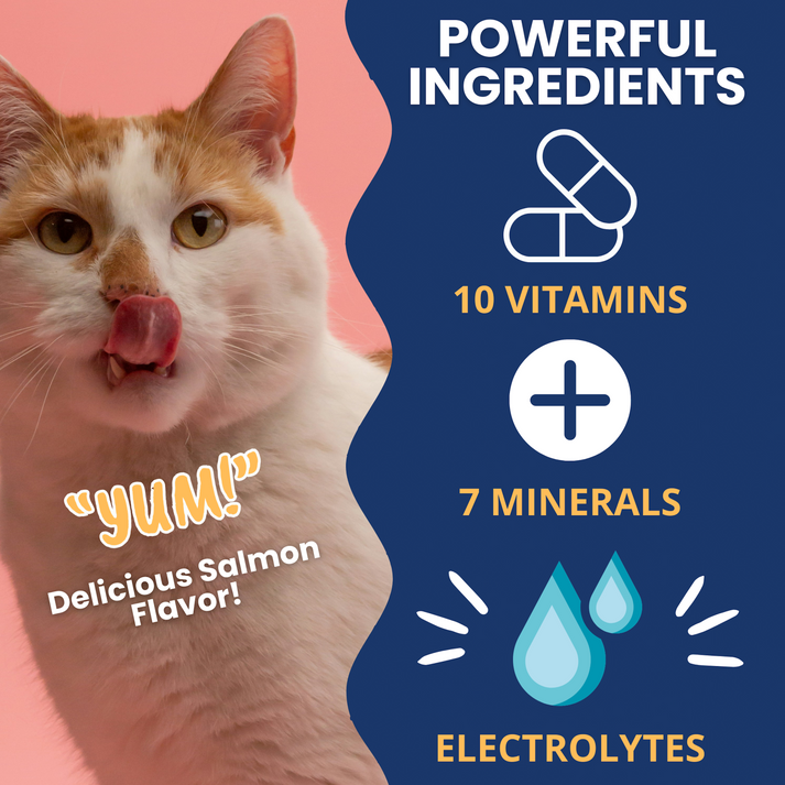 Under the Weather High Calorie Recovery Gel for Cats - Appetite Support with Electrolytes (Ready Cal Plus)