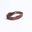 Angel Pet Supplies - Leather Braided Collar - Brown