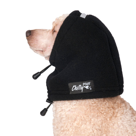 Toy poodle dog wearing the Head Muff in Black